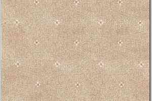 Ковролин AW Animo AW Animo 34 фото  | FLOORDEALER