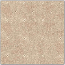 Ковролин AW Animo AW Animo 34 фото 1 | FLOORDEALER