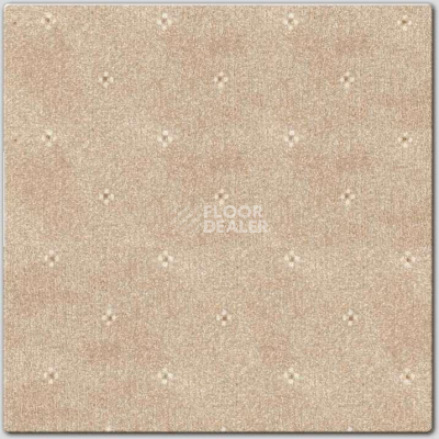 Ковролин AW Animo AW Animo 34 фото 1 | FLOORDEALER