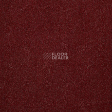 Ковролин Big Splendor 469 фото 1 | FLOORDEALER