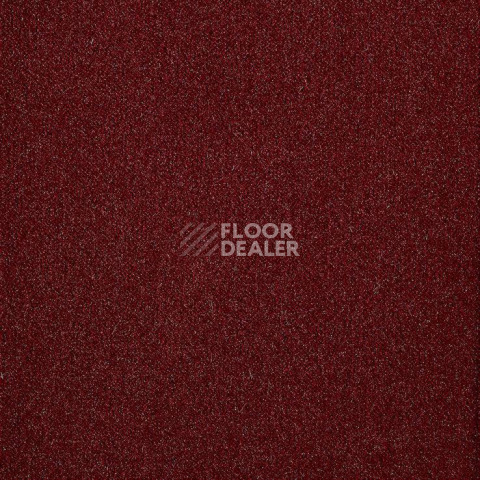 Ковролин Big Splendor 469 фото 1 | FLOORDEALER