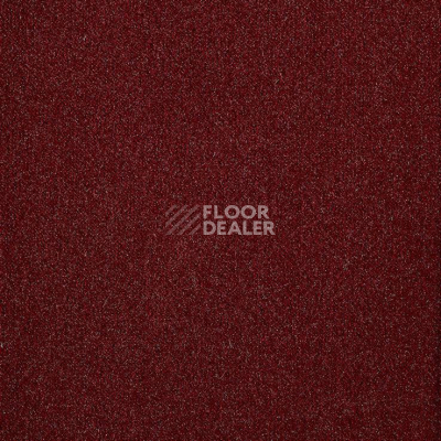 Ковролин Big Splendor 469 фото 1 | FLOORDEALER