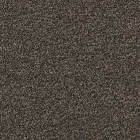 Ковровая плитка AW Maxima 45 фото 1 | FLOORDEALER