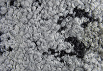 ColorKey ColorKey c 01 фото 2 | FLOORDEALER