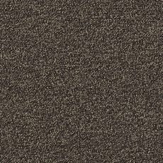 Ковровая плитка AW Maxima 45 фото 1 | FLOORDEALER