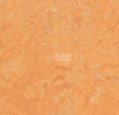 Линолеум Forbo Marmoleum Sport 83208 фото 1 | FLOORDEALER