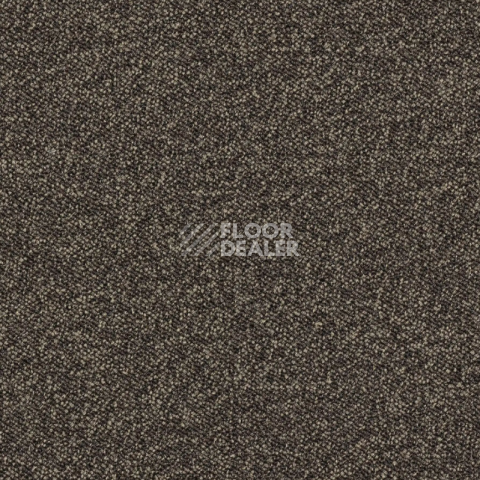 Ковровая плитка AW Maxima 45 фото 1 | FLOORDEALER