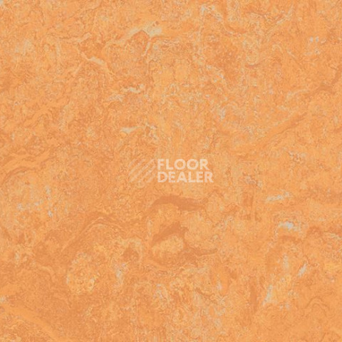 Линолеум Forbo Marmoleum Sport 83208 фото 1 | FLOORDEALER
