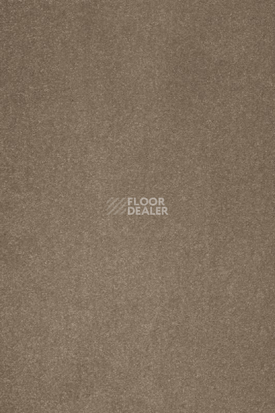 Ковролин AW Masquerade Varuna 37 фото 1 | FLOORDEALER