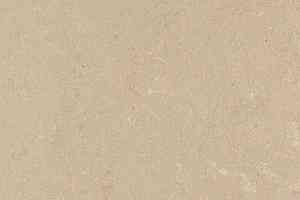 Линолеум Forbo Marmoleum Solid Concrete 3709-370935 silt фото  | FLOORDEALER