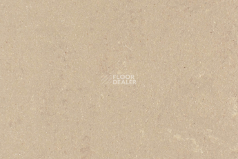 Линолеум Forbo Marmoleum Solid Concrete 3709-370935 silt фото 1 | FLOORDEALER