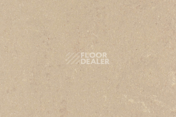 Линолеум Forbo Marmoleum Solid Concrete 3709-370935 silt фото 1 | FLOORDEALER