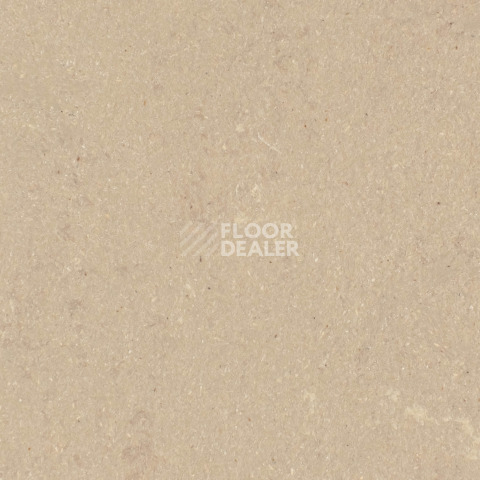 Линолеум Forbo Marmoleum Solid Concrete 3709-370935 silt фото 1 | FLOORDEALER
