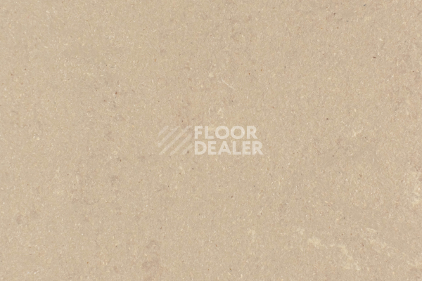 Линолеум Forbo Marmoleum Solid Concrete 3709-370935 silt фото 1 | FLOORDEALER
