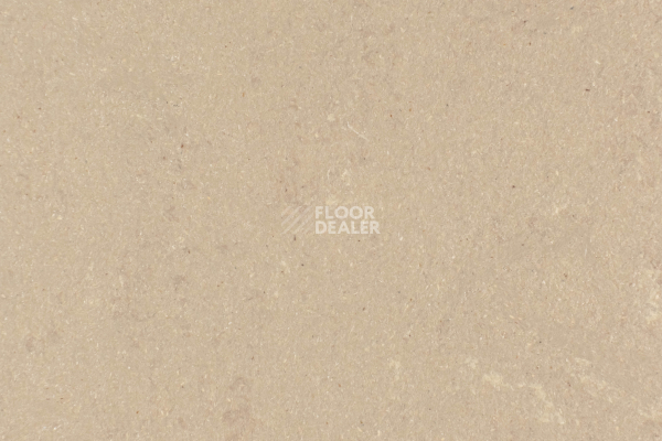 Линолеум Forbo Marmoleum Solid Concrete 3709-370935 silt фото 1 | FLOORDEALER