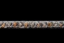 Desso Essence Traces ad 09 1511 фото 8 | FLOORDEALER