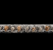 Desso Essence Traces ad 09 1511 фото 8 | FLOORDEALER