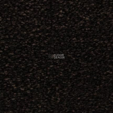 Edel Bellezza 193 фото 1 | FLOORDEALER