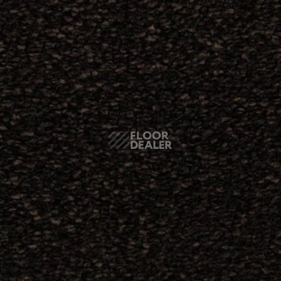 Ковролин Edel Bellezza 193 фото 1 | FLOORDEALER