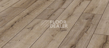 Ламинат Kronotex Robusto 12мм d3075 Дуб Рип фото 1 | FLOORDEALER