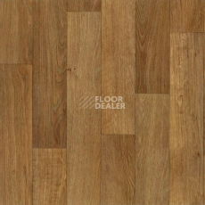 Линолеум Tarkett Acczent Timber TRINIDAD 2 фото 1 | FLOORDEALER