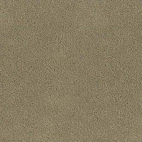 Desso Asteranne 1320 фото 1 | FLOORDEALER