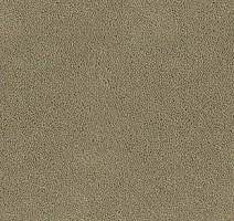 Ковролин Desso Asteranne 1320 фото 1 | FLOORDEALER