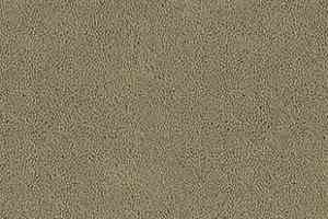 Ковролин Desso Asteranne 1320 фото  | FLOORDEALER