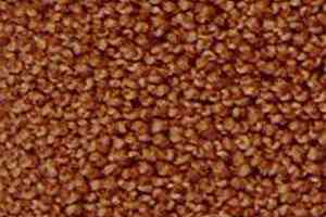 Ковролин Infloor Campino 700 фото  | FLOORDEALER