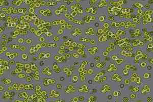 Ковролин Flotex Sottsass Bacteria 990302 фото  | FLOORDEALER