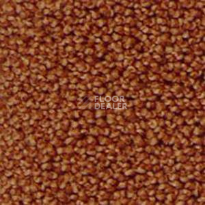 Ковролин Infloor Campino 700 фото 1 | FLOORDEALER