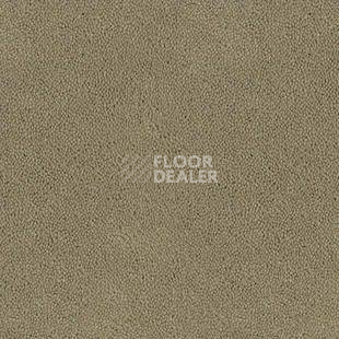 Ковролин Desso Asteranne 1320 фото 1 | FLOORDEALER