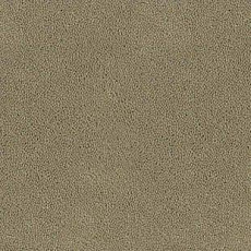 Desso Asteranne 1320 фото 1 | FLOORDEALER