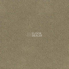 Ковролин Desso Asteranne 1320 фото 1 | FLOORDEALER