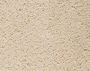 Best Wool Pure Brunel a 40003 фото 1 | FLOORDEALER