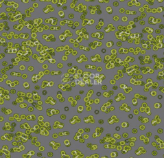 Ковролин Forbo Flotex Sottsass Bacteria 990302 фото 1 | FLOORDEALER