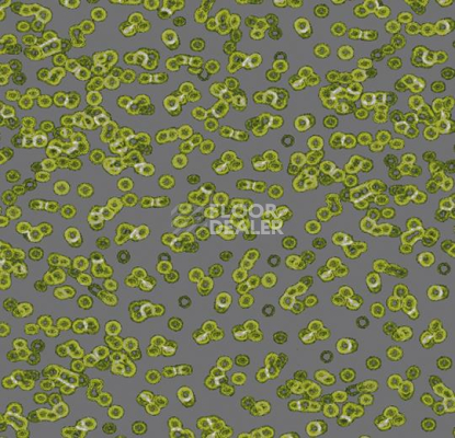 Ковролин Forbo Flotex Sottsass Bacteria 990302 фото 1 | FLOORDEALER