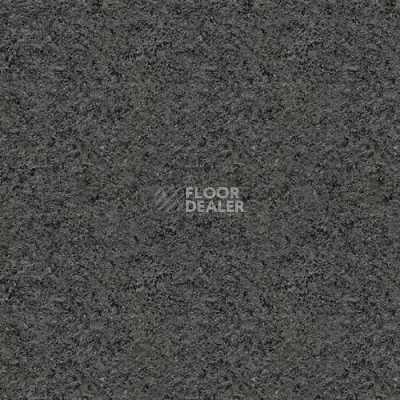 Линолеум Lg Delight DLT9108 фото 1 | FLOORDEALER