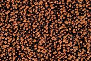 Ковровая плитка Desso Precious Metals Precious Metals Sparkle 2072 фото  | FLOORDEALER