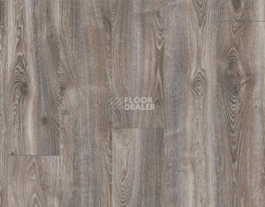 Ламинат My Floor Residence 10мм ml1016 Дуб Горный Титан фото 1 | FLOORDEALER
