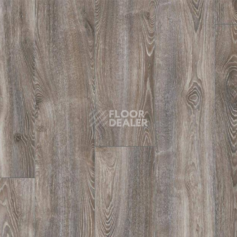 My Floor Residence 10мм ml1016 Дуб Горный Титан фото 1 | FLOORDEALER