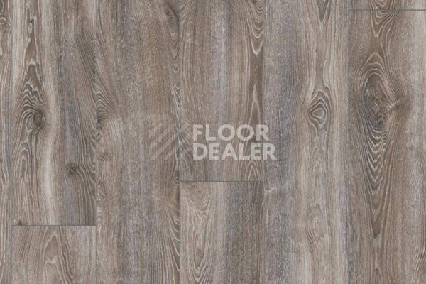 Ламинат My Floor Residence 10мм ML1016 Дуб Горный Титан фото 1 | FLOORDEALER