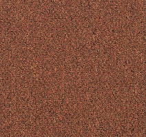 Ковровая плитка Shaw Momentum 02605 фото 1 | FLOORDEALER