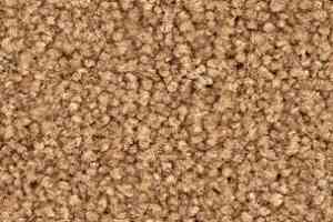 Ковролин Balsan Bolero roll 750 фото  | FLOORDEALER