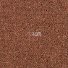 Ковровая плитка Shaw Momentum 02605 фото 1 | FLOORDEALER