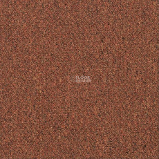 Shaw Momentum 02605 фото 1 | FLOORDEALER