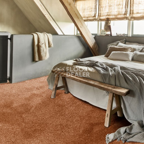 AW Invictus Romelus / Ромелус 82 фото 3 | FLOORDEALER