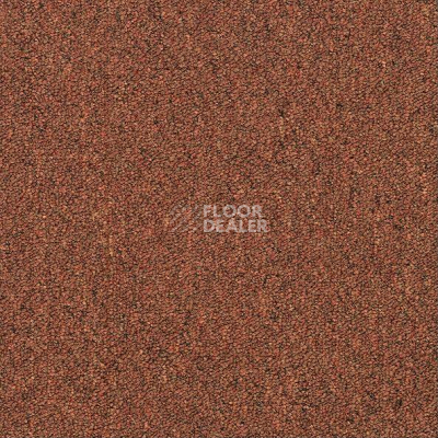 Ковровая плитка Shaw Momentum 02605 фото 1 | FLOORDEALER