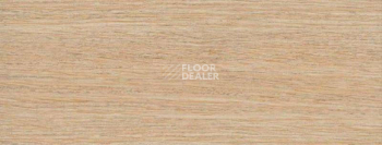 Плинтус Dollken EP 60/13 2813 фото 2 | FLOORDEALER