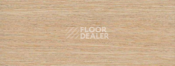 Плинтус Dollken EP 60/13 2813 фото 2 | FLOORDEALER